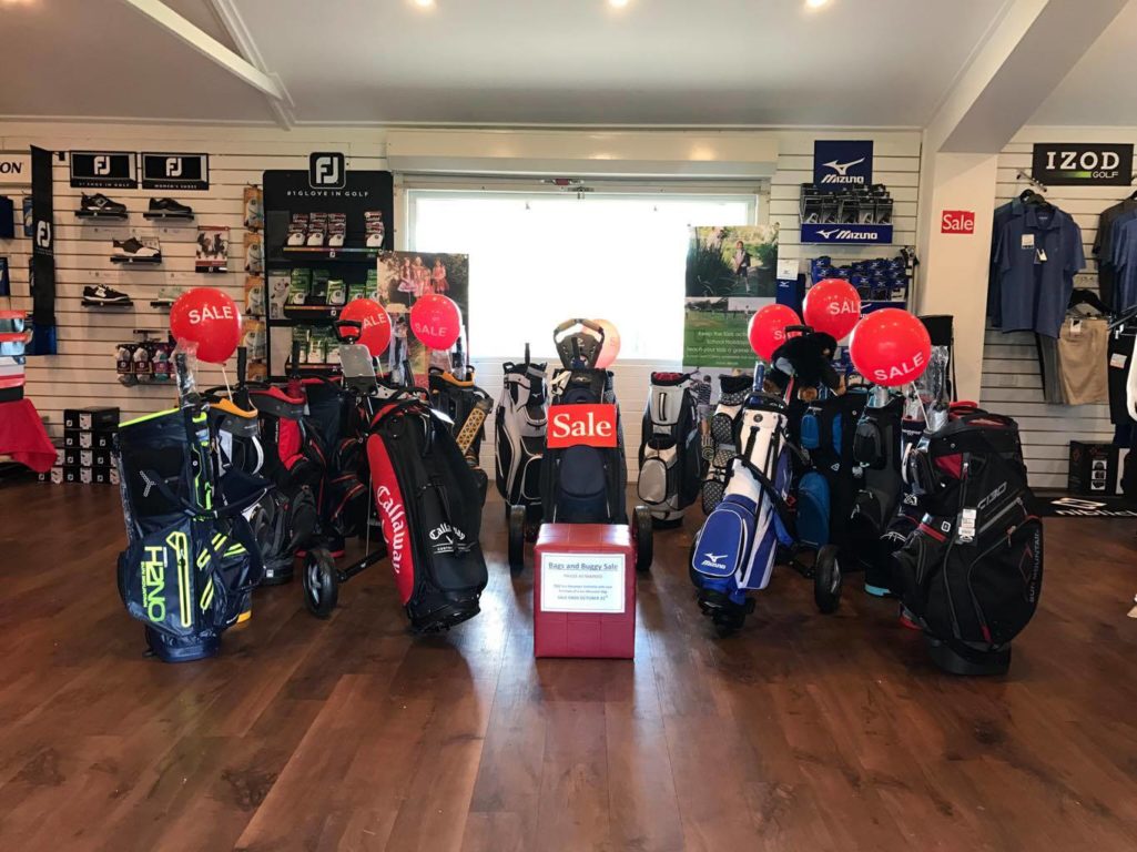 Golf Bags and Buggies Sale